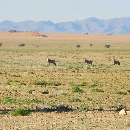 Solitaire Desert Farm Extérieur photo