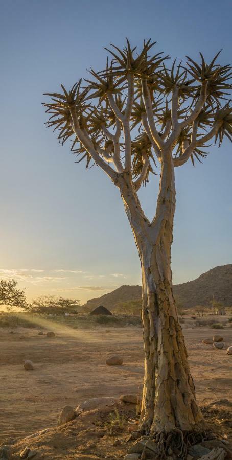 Solitaire Desert Farm Extérieur photo
